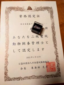 動物取扱責任者の資格要件が厳しくなりました どうなったかを解説 まむきょんのてんこ盛りブログ